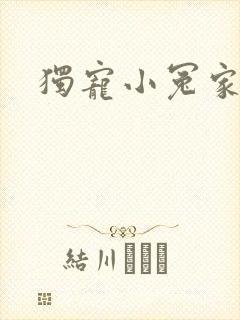 独宠小冤家封面