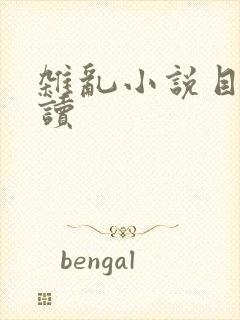 杂乱小说目录阅读