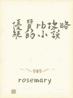 优质rb攻略系统的小说封面