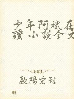 少年阿斌在线阅读 小说全文免费封面