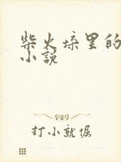 柴火垛里的疯狂小说