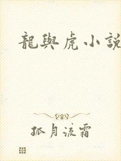 龙与虎小说封面