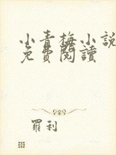 小青梅小说全文免费阅读