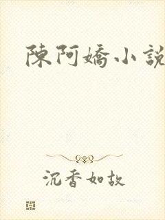 陈阿娇小说封面