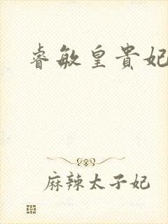 睿敏皇贵妃封面