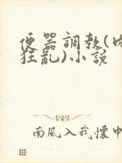 便器调教(肉体狂乱)小说