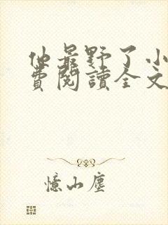 他最野了小说免费阅读全文