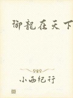 御龙在天下载封面