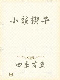 小说楔子