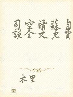 司空靖苏月汐小说全文免费阅读