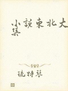 小说东北大炕全集