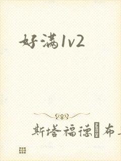 好满1v2