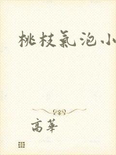 桃枝气泡小说封面