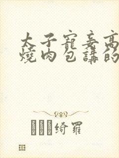 太子宠妾高肉红烧肉包讲的什么