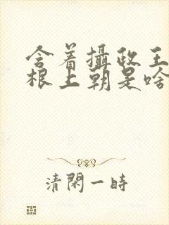 含着摄政王的紫根上朝是啥小说封面