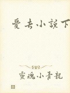 爱去小说下载网