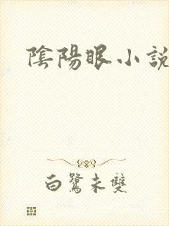 阴阳眼小说