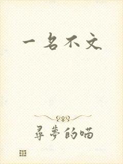 一名不文