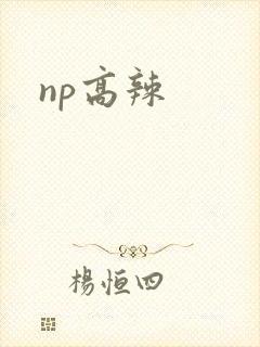 np高辣