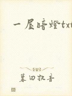 一屋暗灯txt