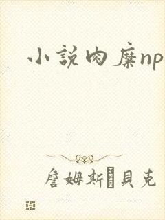 小说肉糜np封面