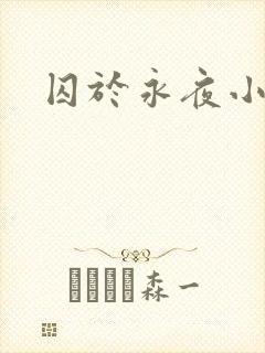 囚于永夜小说