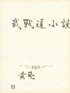 武战道小说