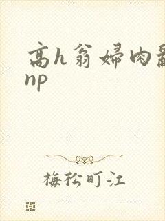 高h翁妇肉乱文np