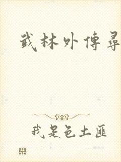 武林外传寻宝封面