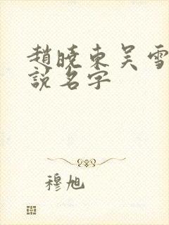 赵晓东吴雪晴小说名字