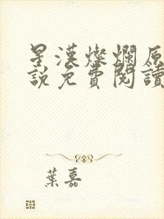 星汉灿烂原著小说免费阅读