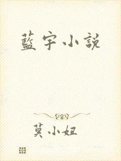 蓝宇小说