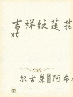 吉祥纹莲花楼txt