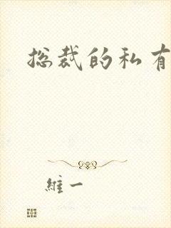 总裁的私有宝贝