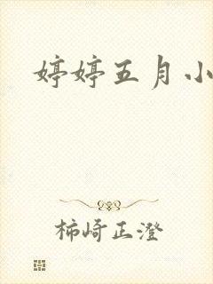 婷婷五月小说封面