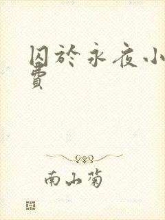 囚于永夜小说免费