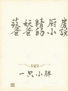 苏妖精厨房爹爹爸爸的小说