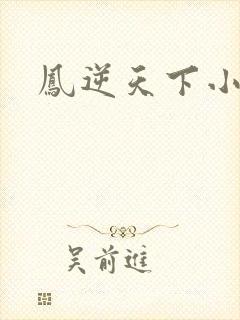 凤逆天下小说