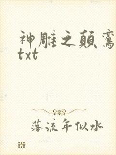 神雕之颠鸾倒凤txt