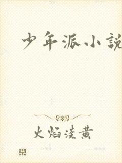 少年派小说