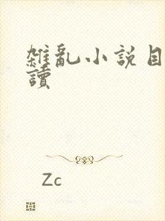 杂乱小说目录阅读