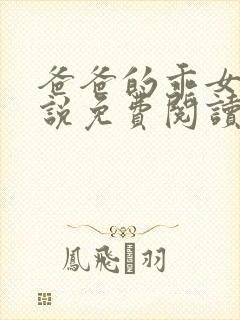 爸爸的乖女儿小说免费阅读封面