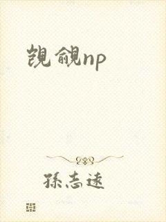 觊觎np