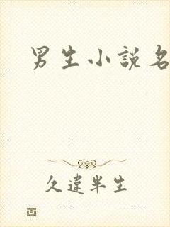 男生小说名字