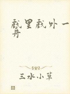 戏里戏外一叶孤舟封面