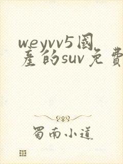 weyvv5国产的suv免费