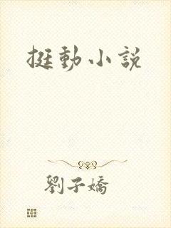 挺动小说