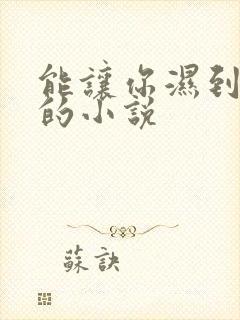 能让你湿到不行的小说