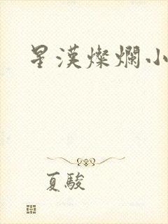 星汉灿烂小说
