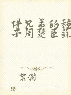 借兄弟的种生孩子周楚臣苏糖